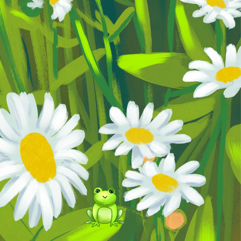 DAISY WITH FROG ART PRINT